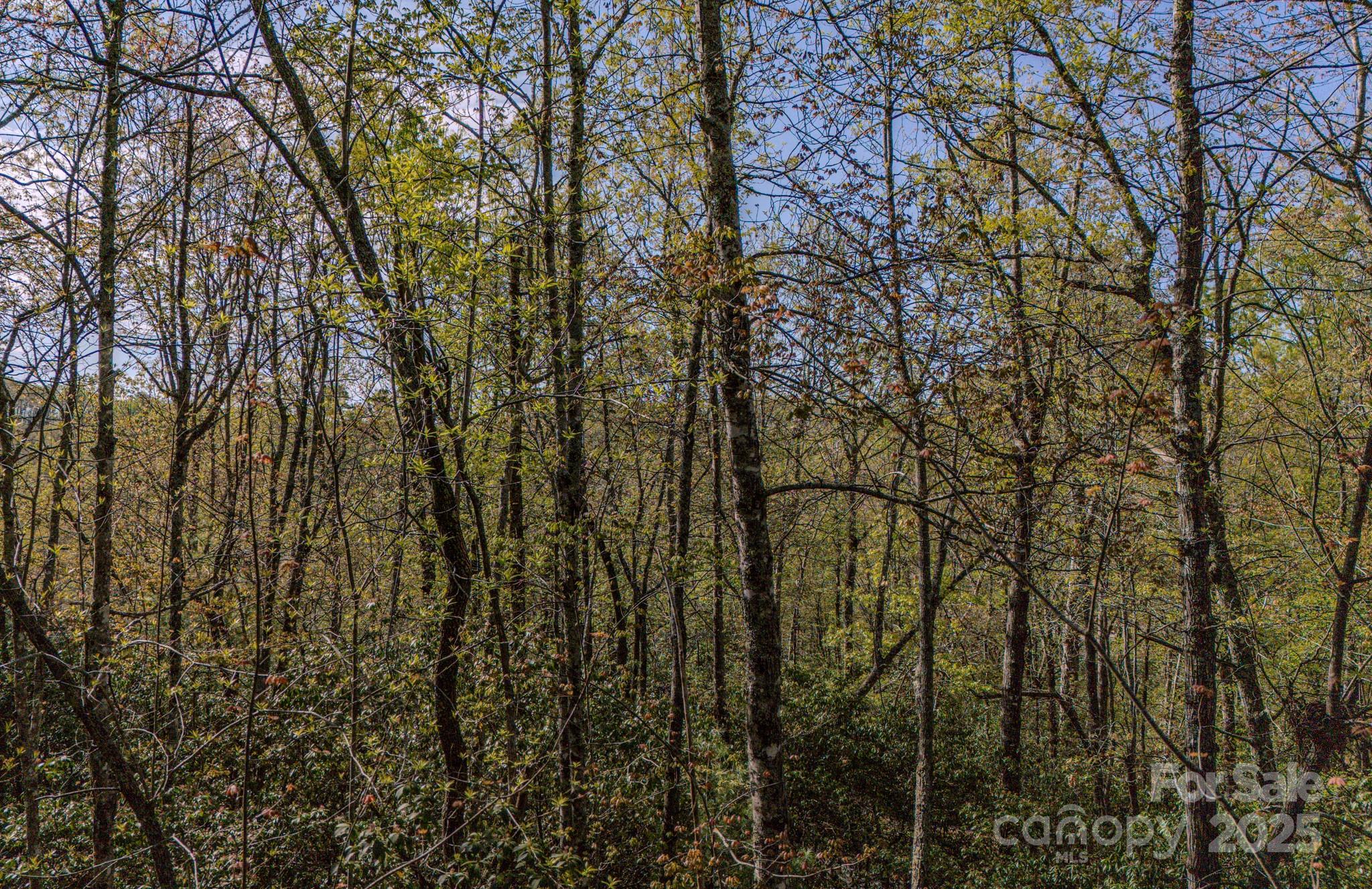 TBD Juniper Lane