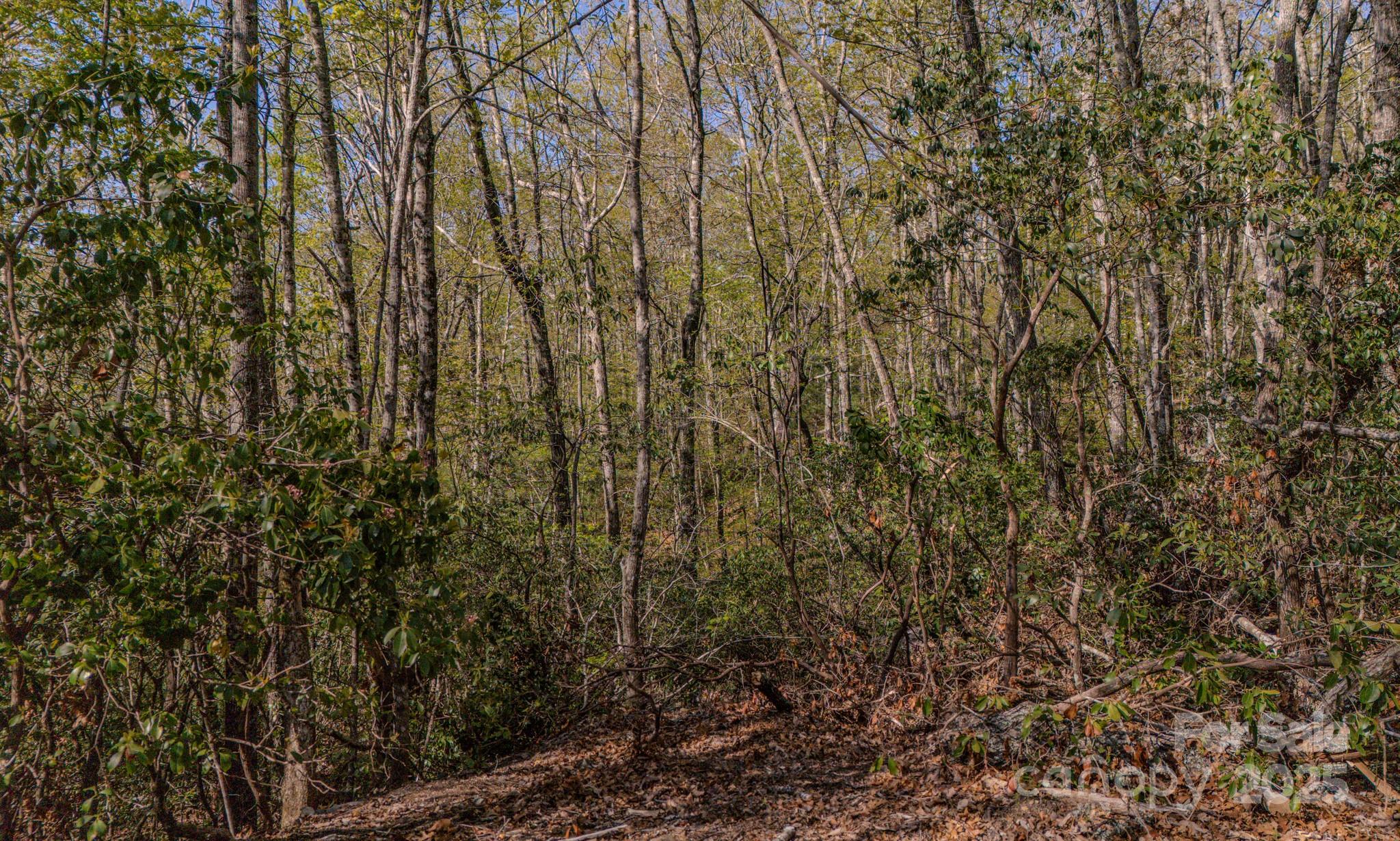 TBD Juniper Lane