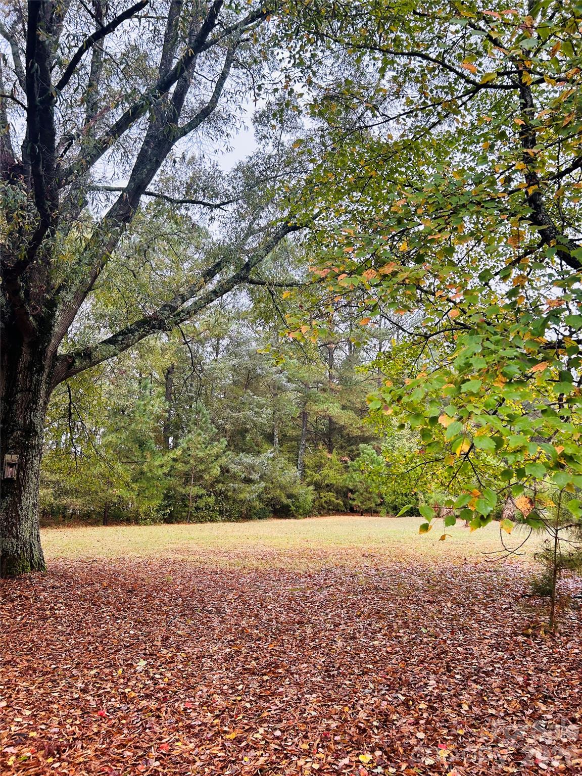 3324 Antioch Church Road