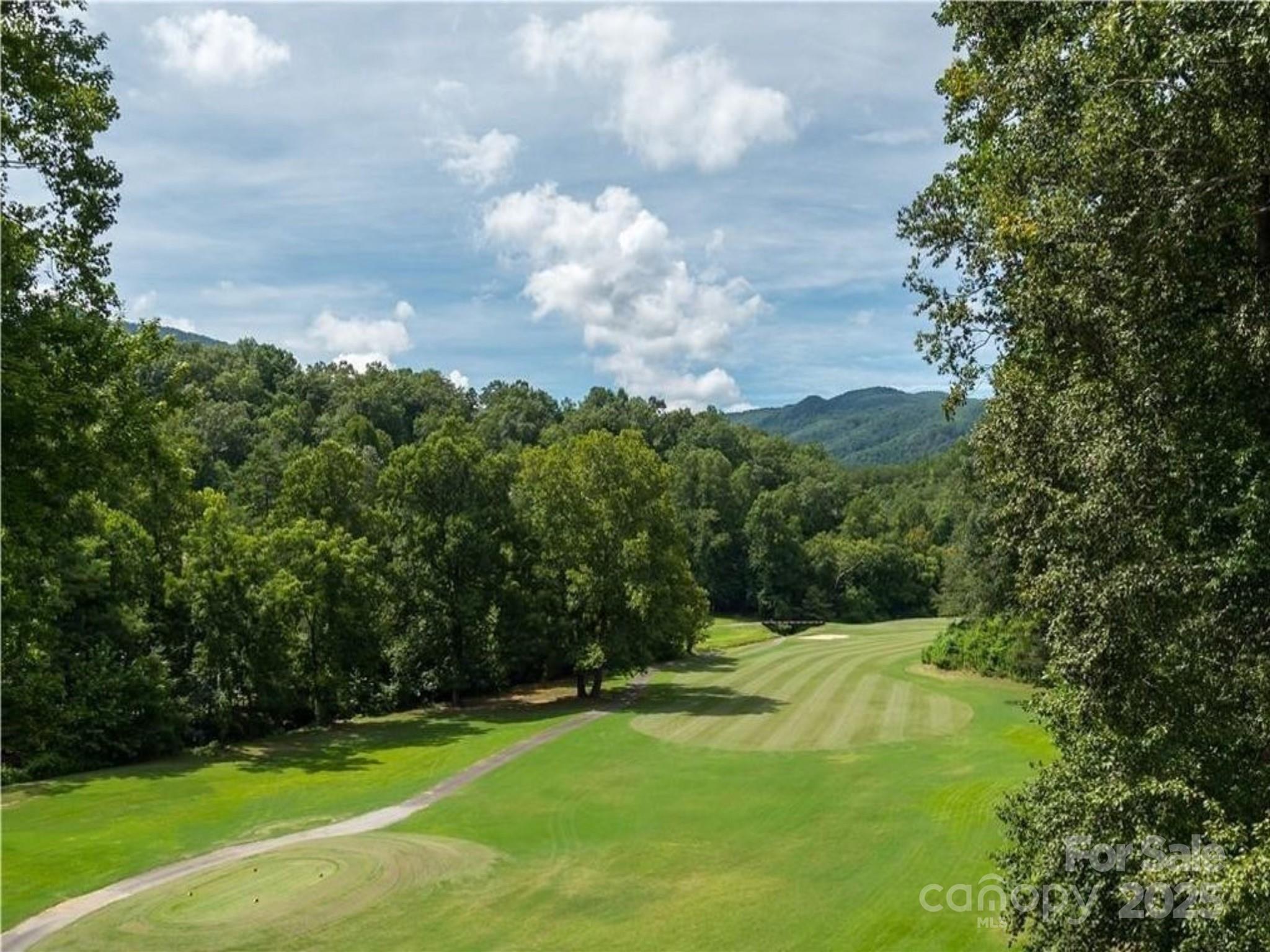 Rumbling Bald on Lake Lure - Land