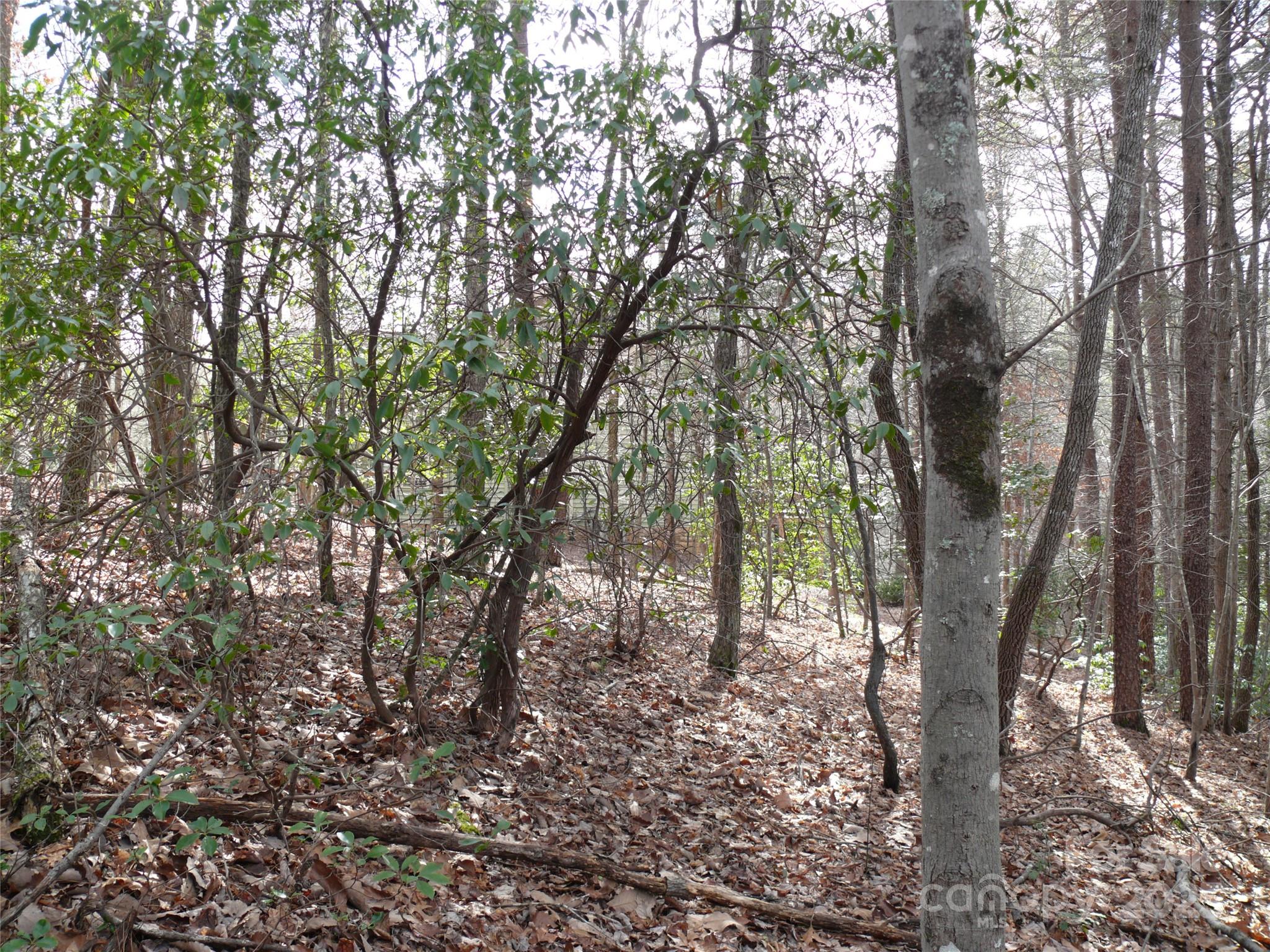 Lot 102 Shumont Estates Drive
