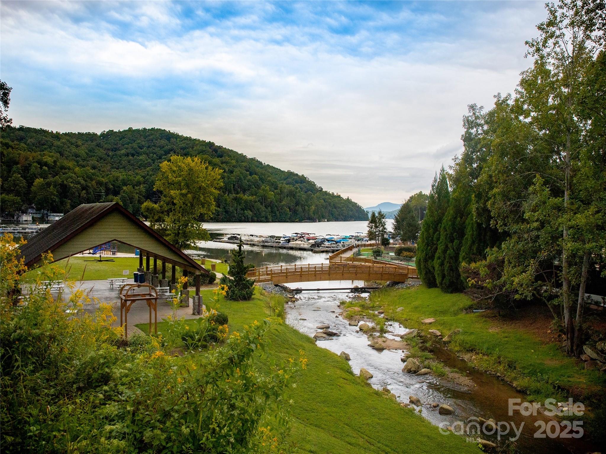 Rumbling Bald on Lake Lure - Land