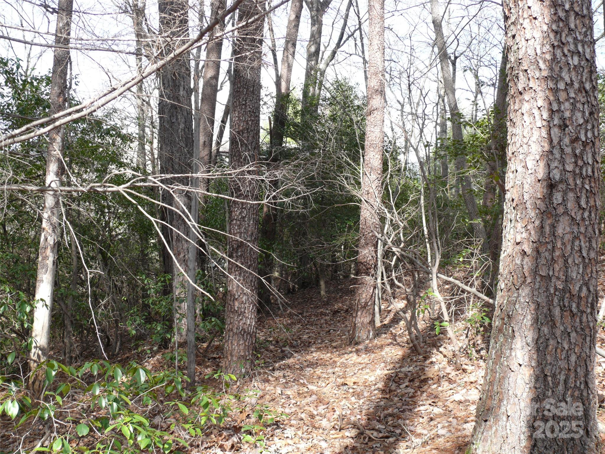 Lot 102 Shumont Estates Drive