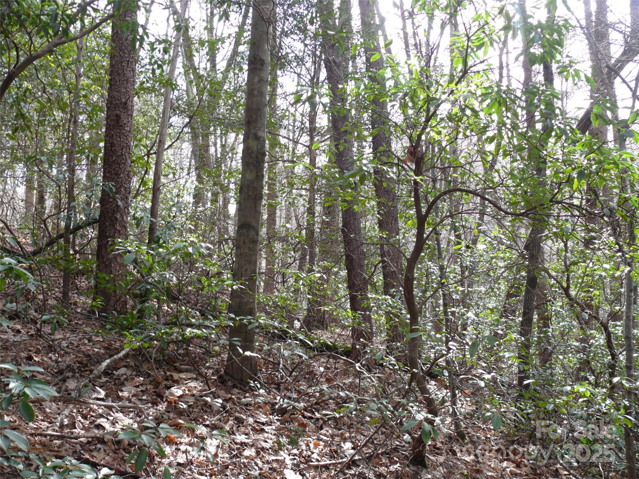 Lot 102 Shumont Estates Drive
