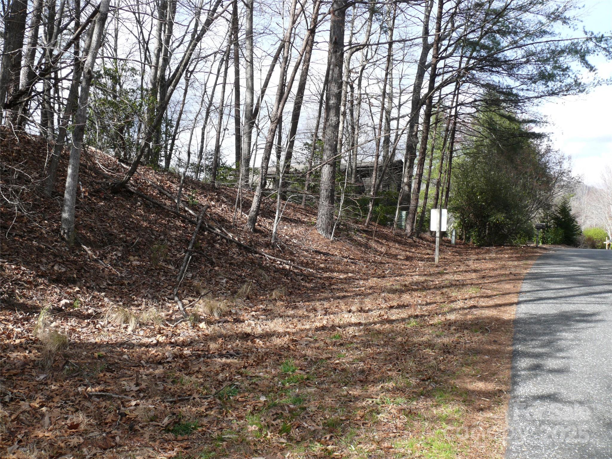 Rumbling Bald on Lake Lure - Land