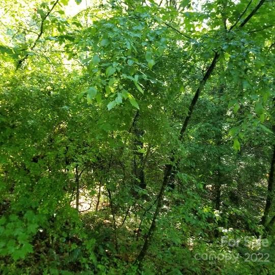TBD Cabin Hill Road 12