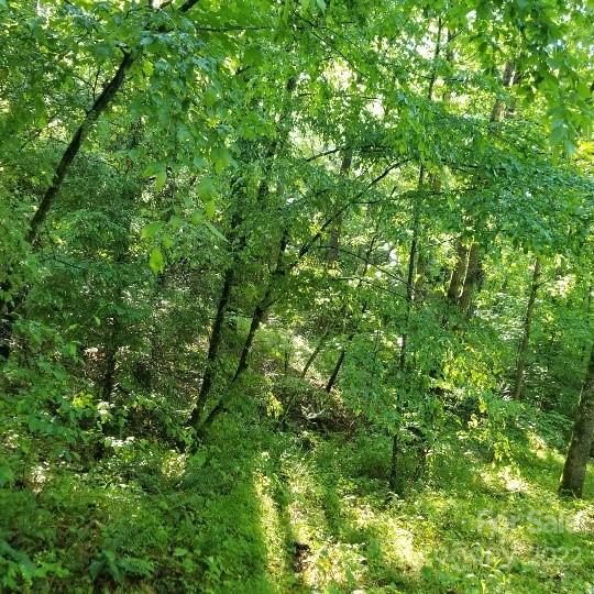 TBD Cabin Hill Road 12