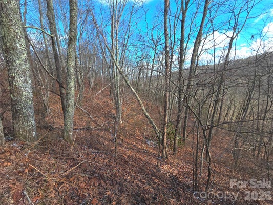 220 SKY DR, MAGGIE VALLEY, NC 28751 - Image 8fccc2ecf8817e5d4b17facbfa7092d0/2030816043