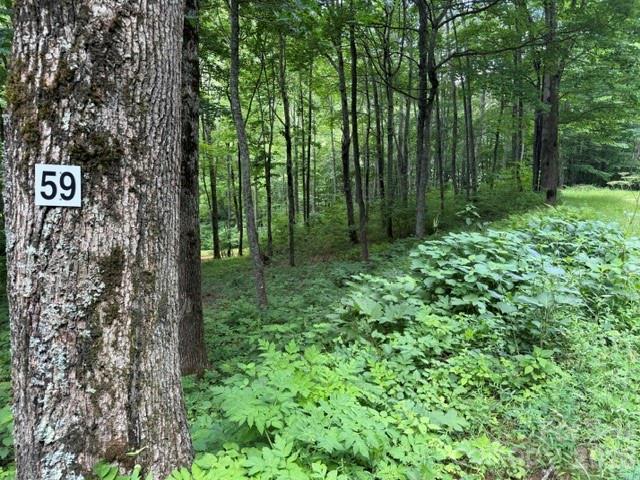 Lot 59 Odalu Trail 59