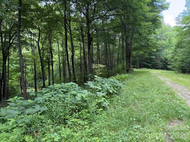 Lot 59 Odalu Trail 59