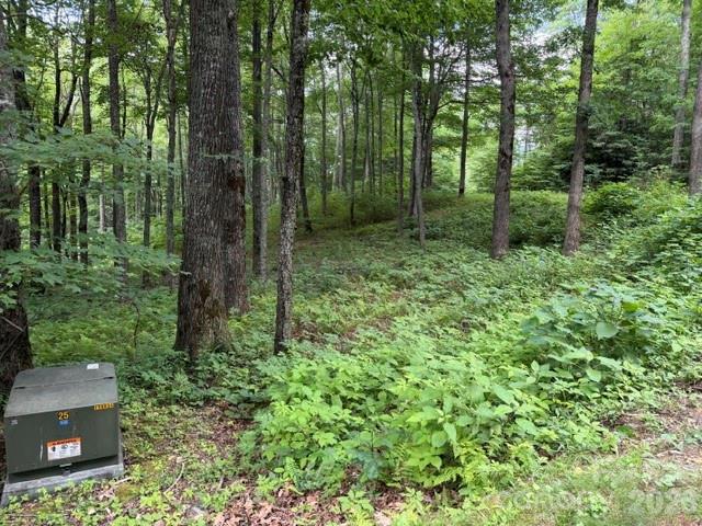 Lot 59 Odalu Trail 59