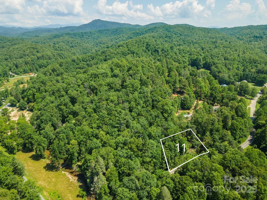 Discover this remarkable opportunity to own open-use mountain acreage in the Blue Ridge Mountains. This property offers privacy and breathtaking natural beauty located across from the Broad River. GPS location is Old Fort Rd. Please refer to plat or tax map to locate property.