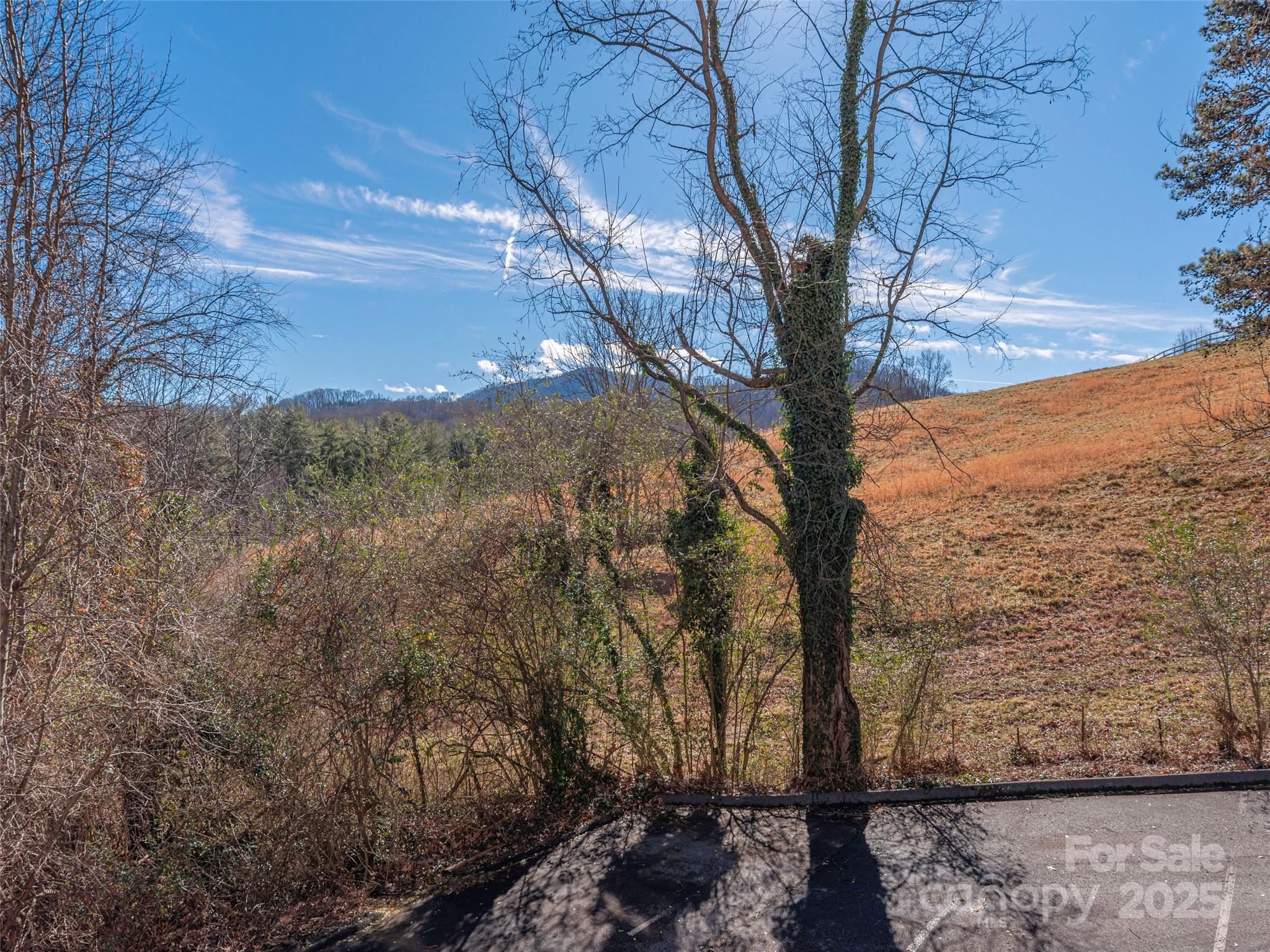 Park Terrace - Residential