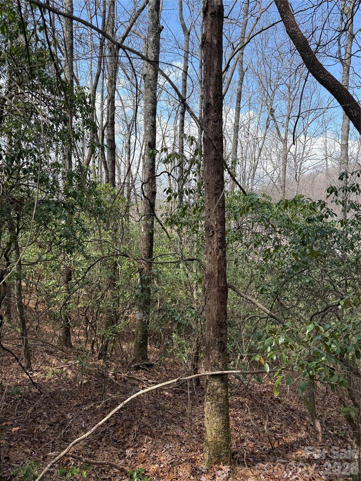 00 Line Runner Ridge Road