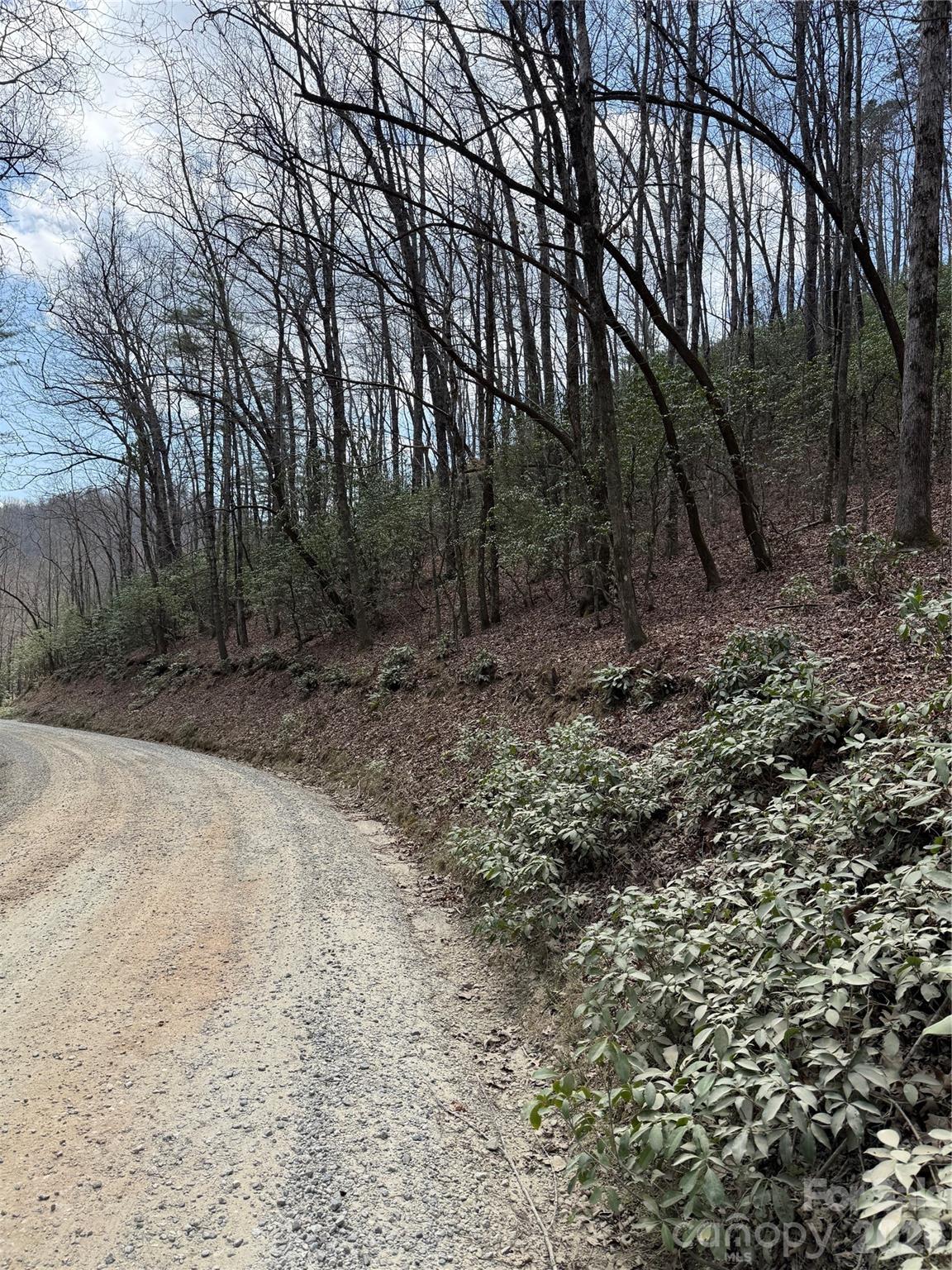 Line Runner Ridge - Land