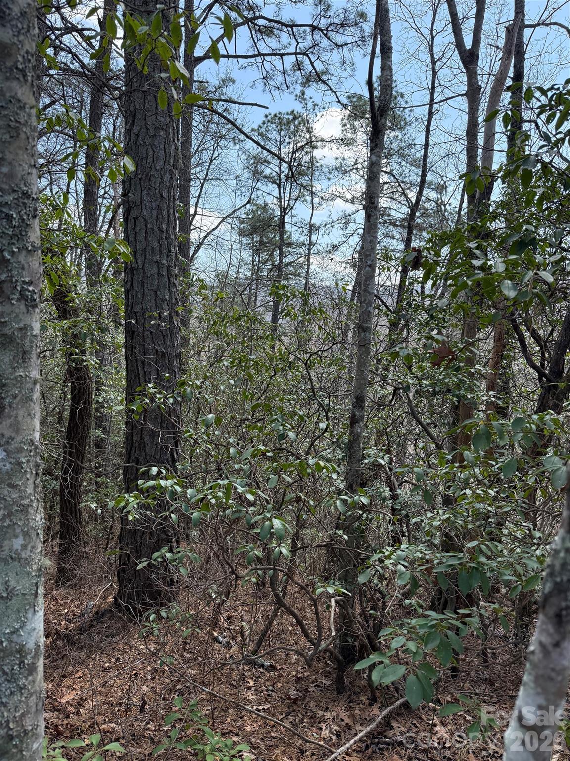 Line Runner Ridge - Land