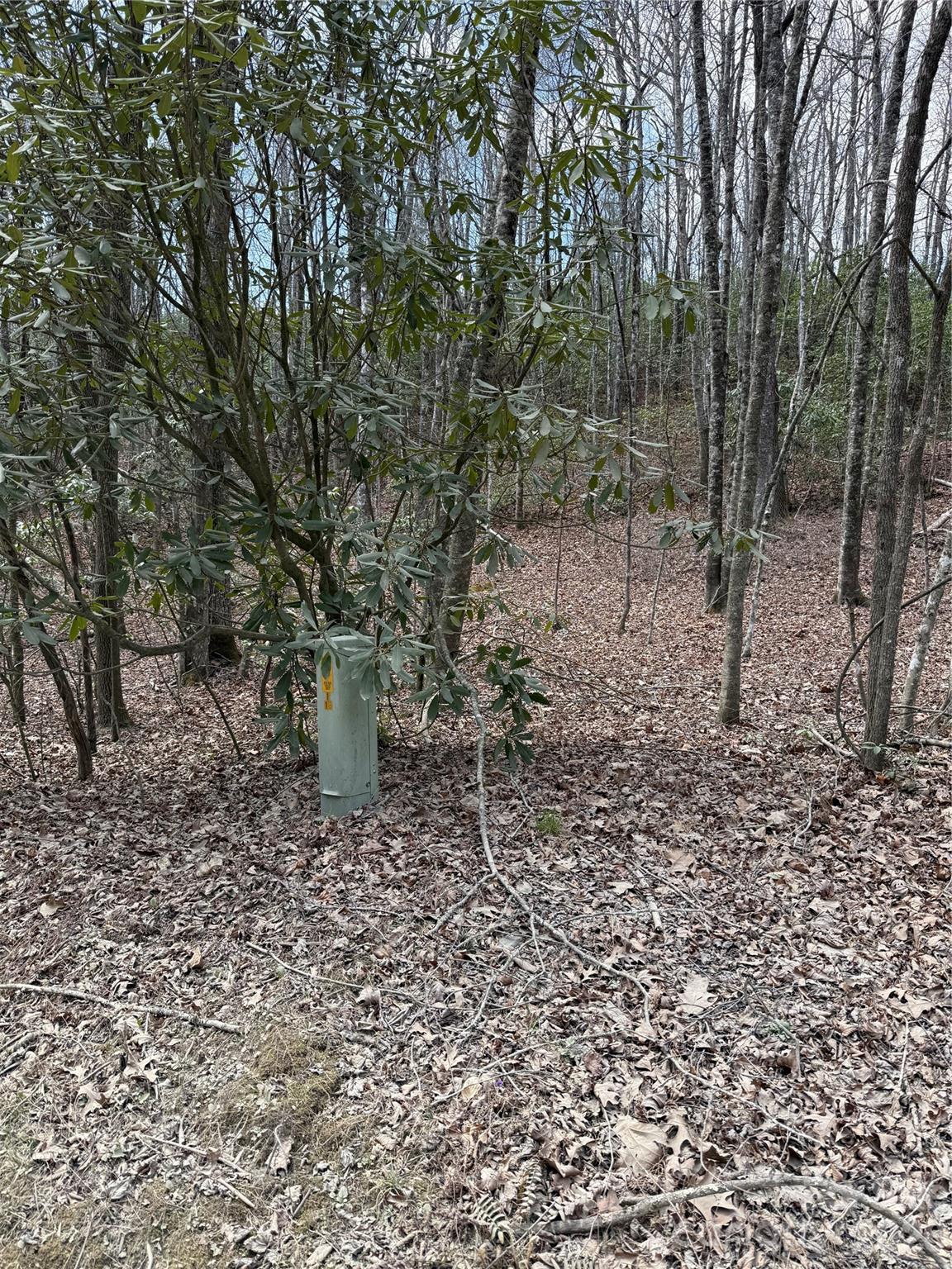 Line Runner Ridge - Land