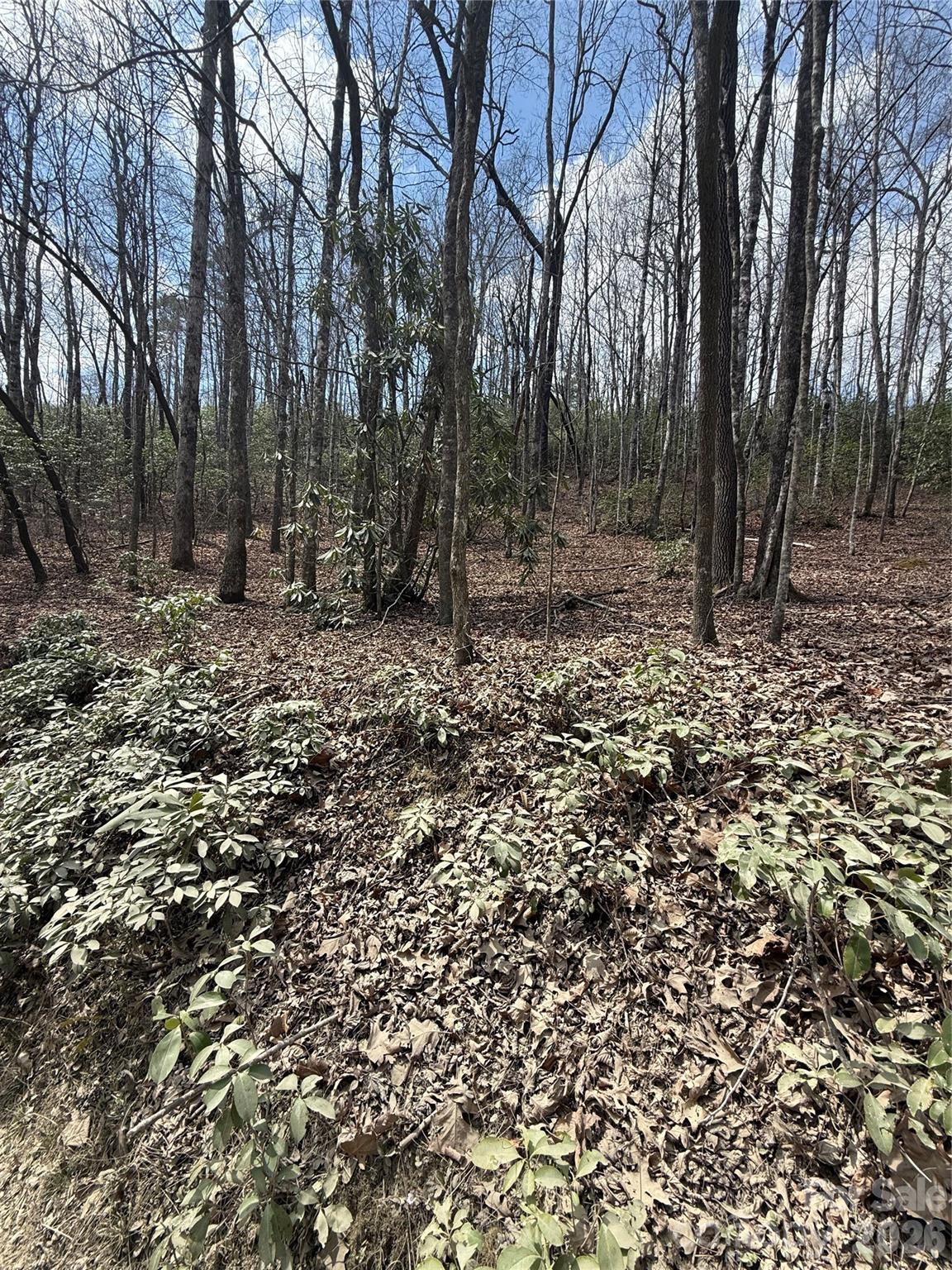 Line Runner Ridge - Land