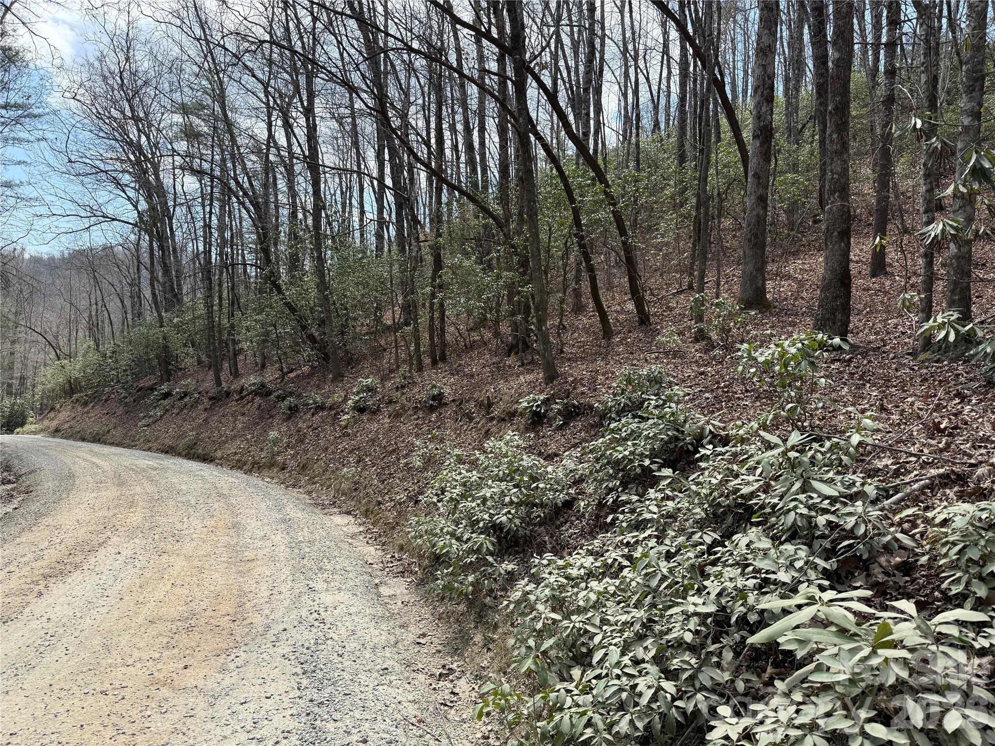 Line Runner Ridge - Land