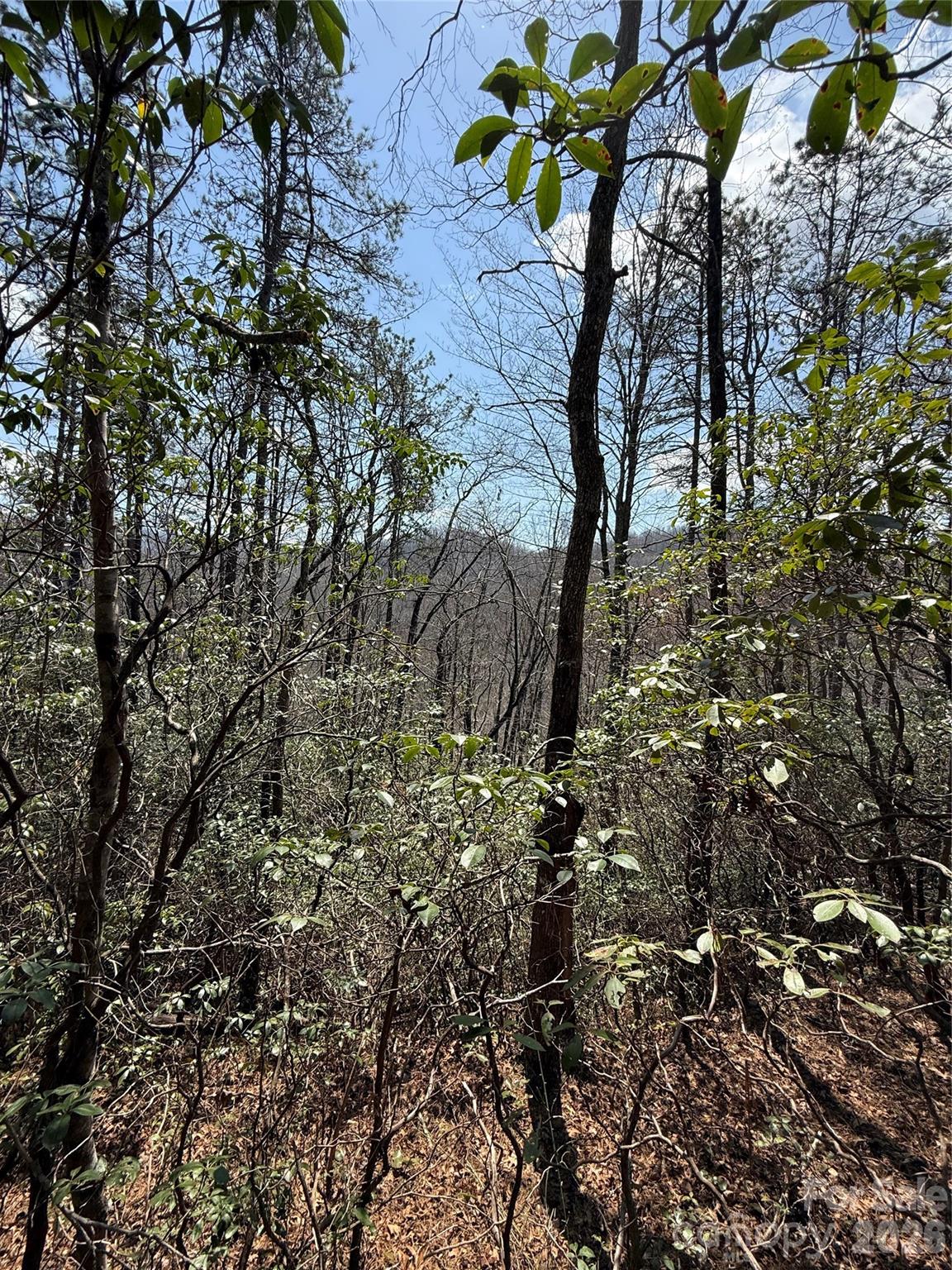 Line Runner Ridge - Land