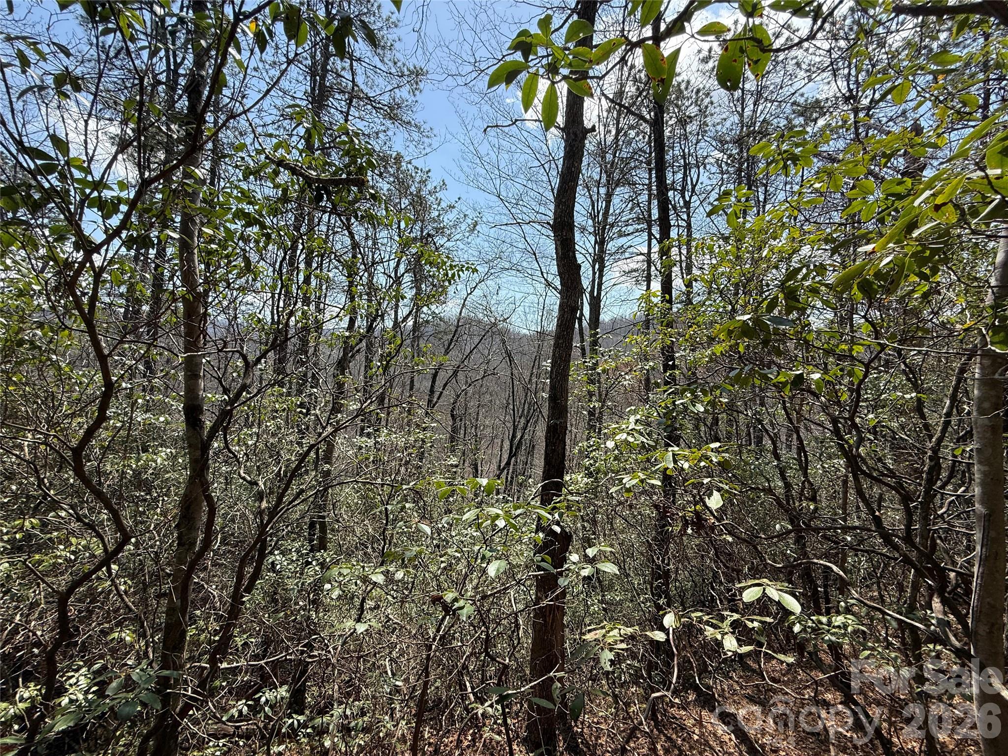 Line Runner Ridge - Land