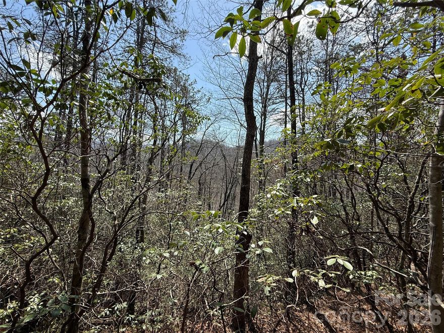 Discover a spacious lot with the potential for mountain views in the desirable Line Runner Ridge community. This property offers a peaceful, natural setting while still being conveniently located just 10 minutes from Rosman.
Outdoor lovers will appreciate the close proximity to the local rivers and trails — Whether you're looking to build a private mountain retreat, a vacation getaway, or an investment property, this lot blends seclusion with excellent access to outdoor recreation.