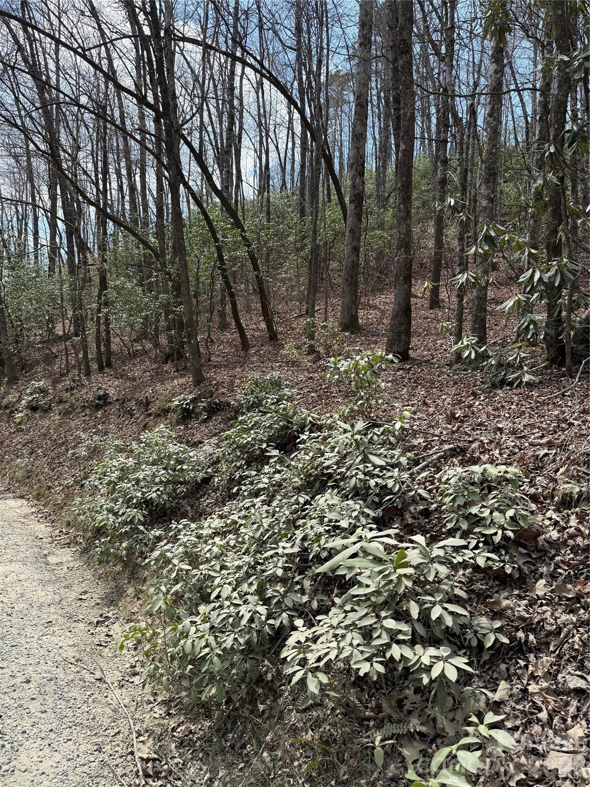 Line Runner Ridge - Land