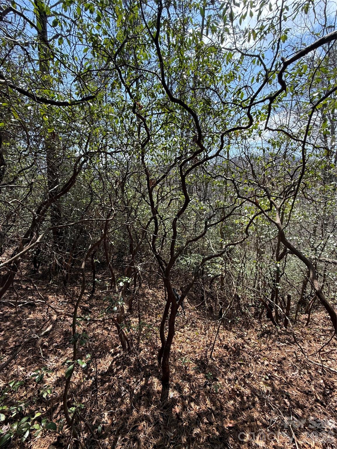 Line Runner Ridge - Land