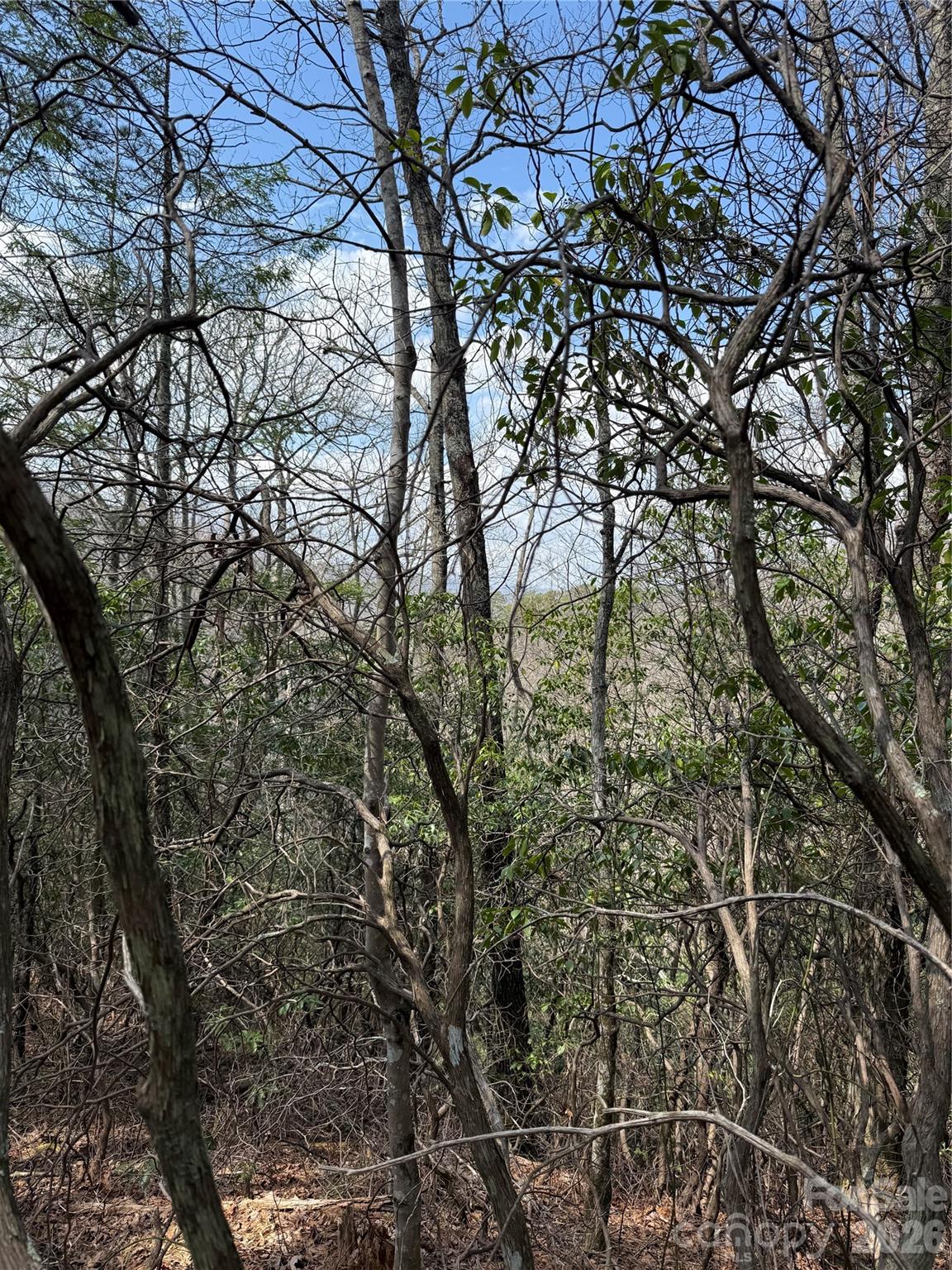 00 Line Runner Ridge Road