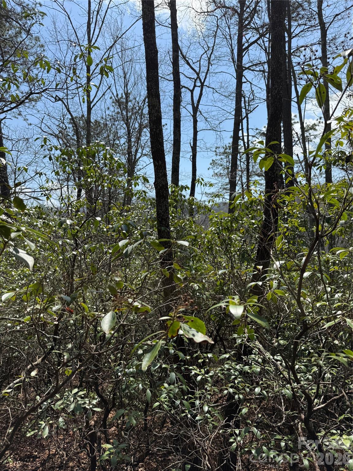 00 Line Runner Ridge Road