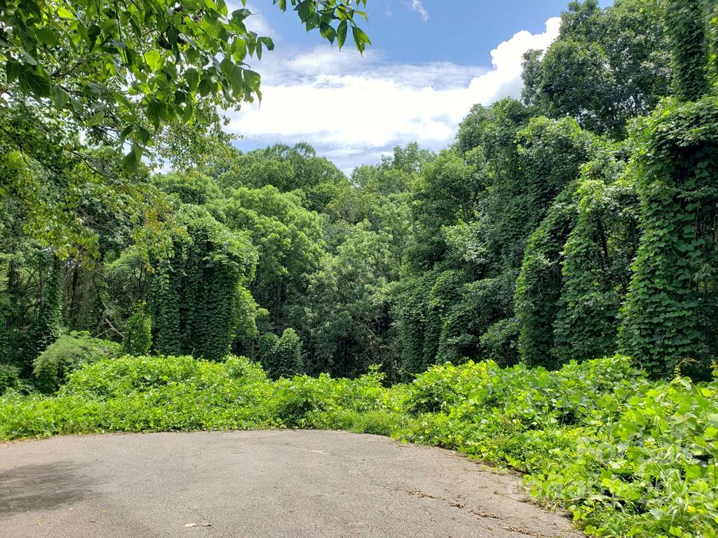 548 Caribou Road