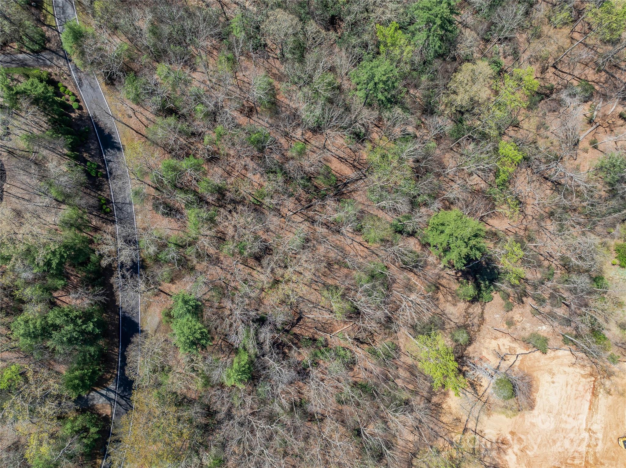37 Dividing Ridge Trail 12