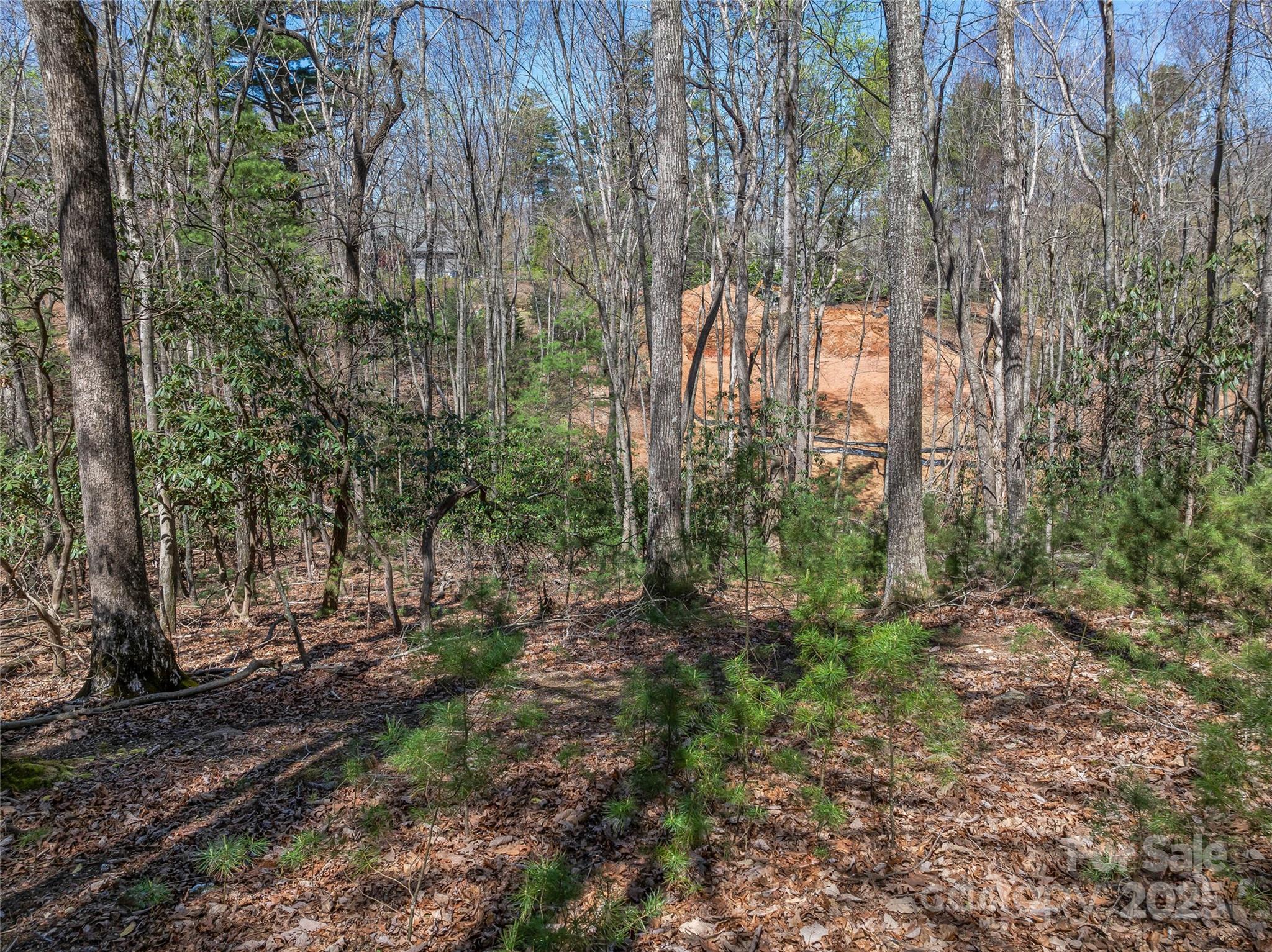The Cliffs At Walnut Cove - Land