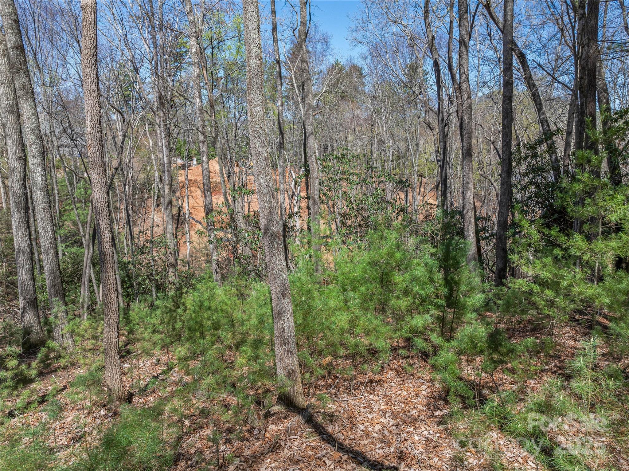 The Cliffs At Walnut Cove - Land