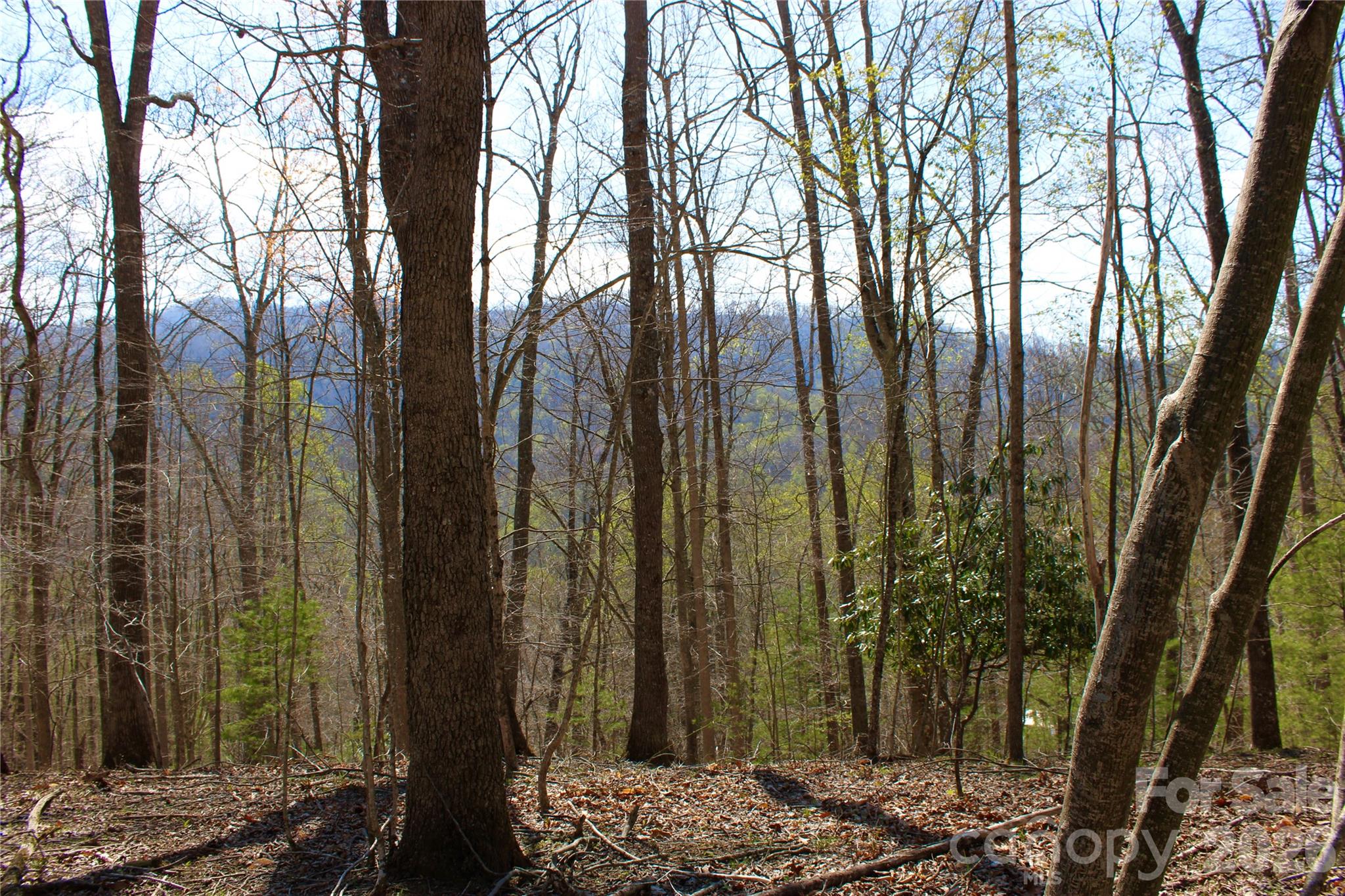 00 Scenic View Drive 1 & 2