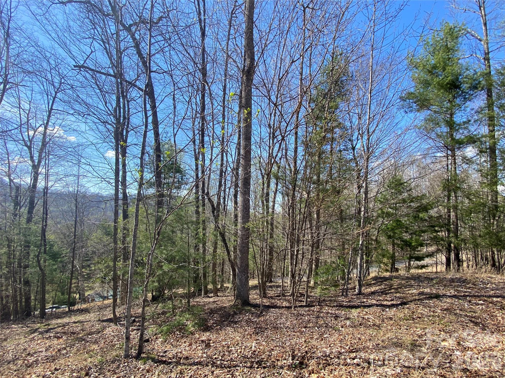 Scenic View - Land
