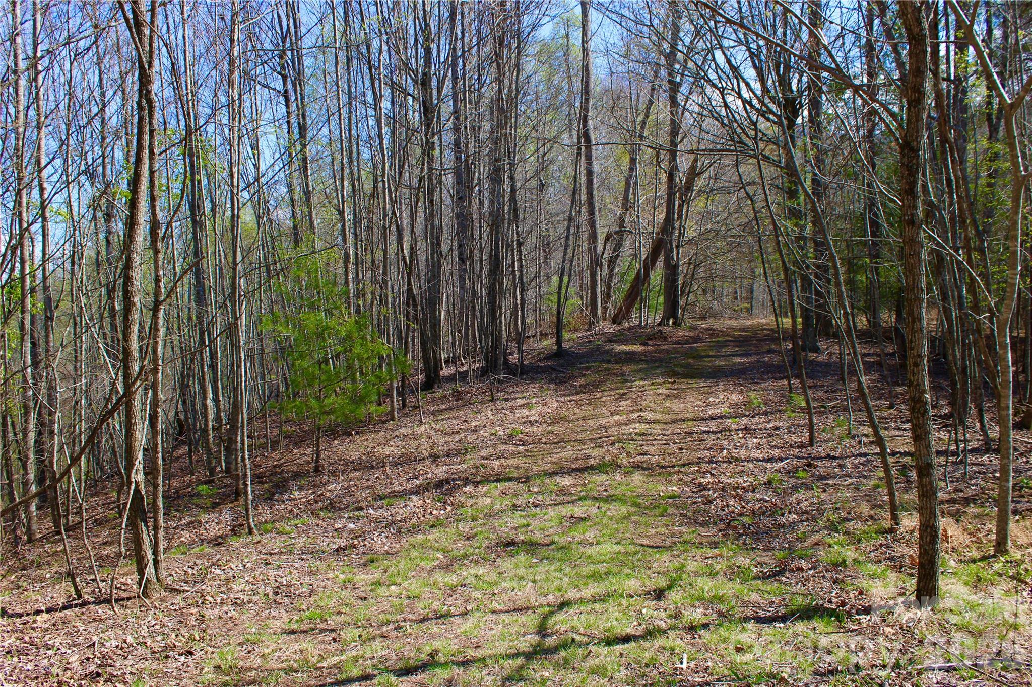 Scenic View - Land