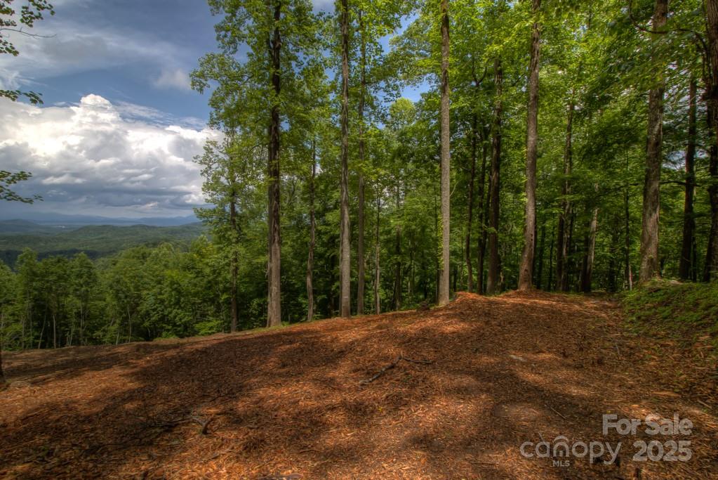 436 Bella Vista Court
