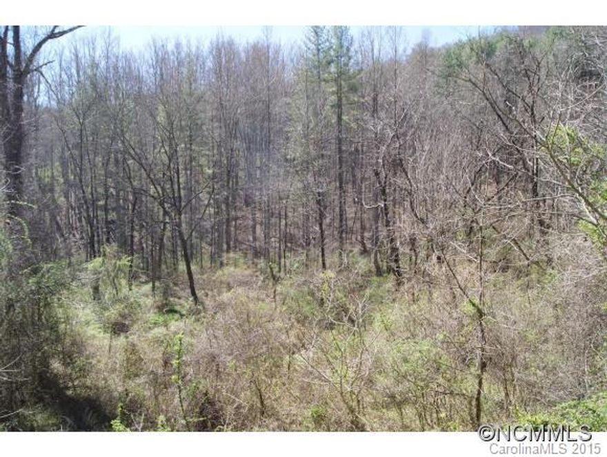 This unrestricted property is less than 5 minutes to WCU and less than 2 minutes from the Jackson County Recreation Park. This property has state road frontage. Pressley Creek runs through property.