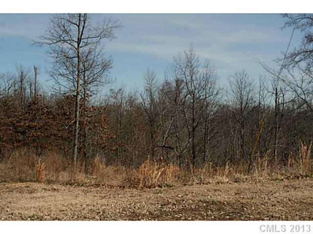 Liberty Hill Pointe - Land