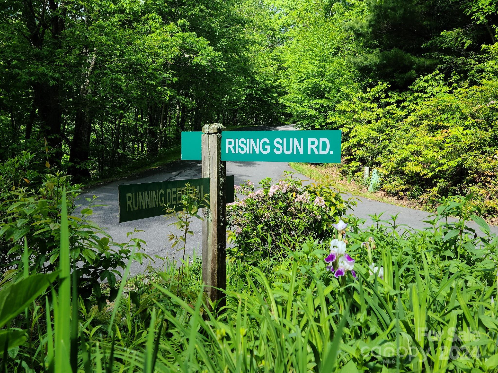 Villages of Plott Creek - Land