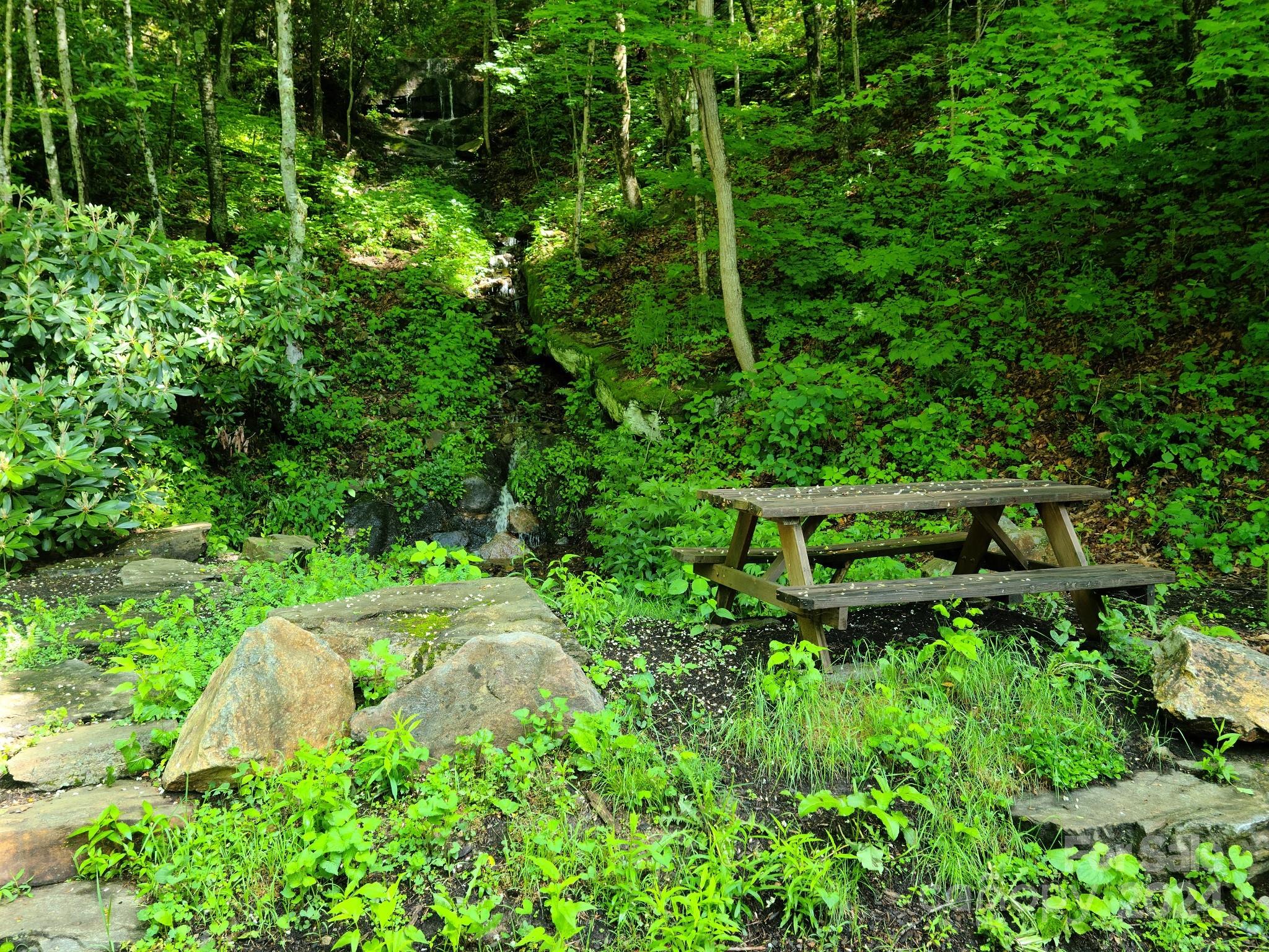 Villages of Plott Creek - Land