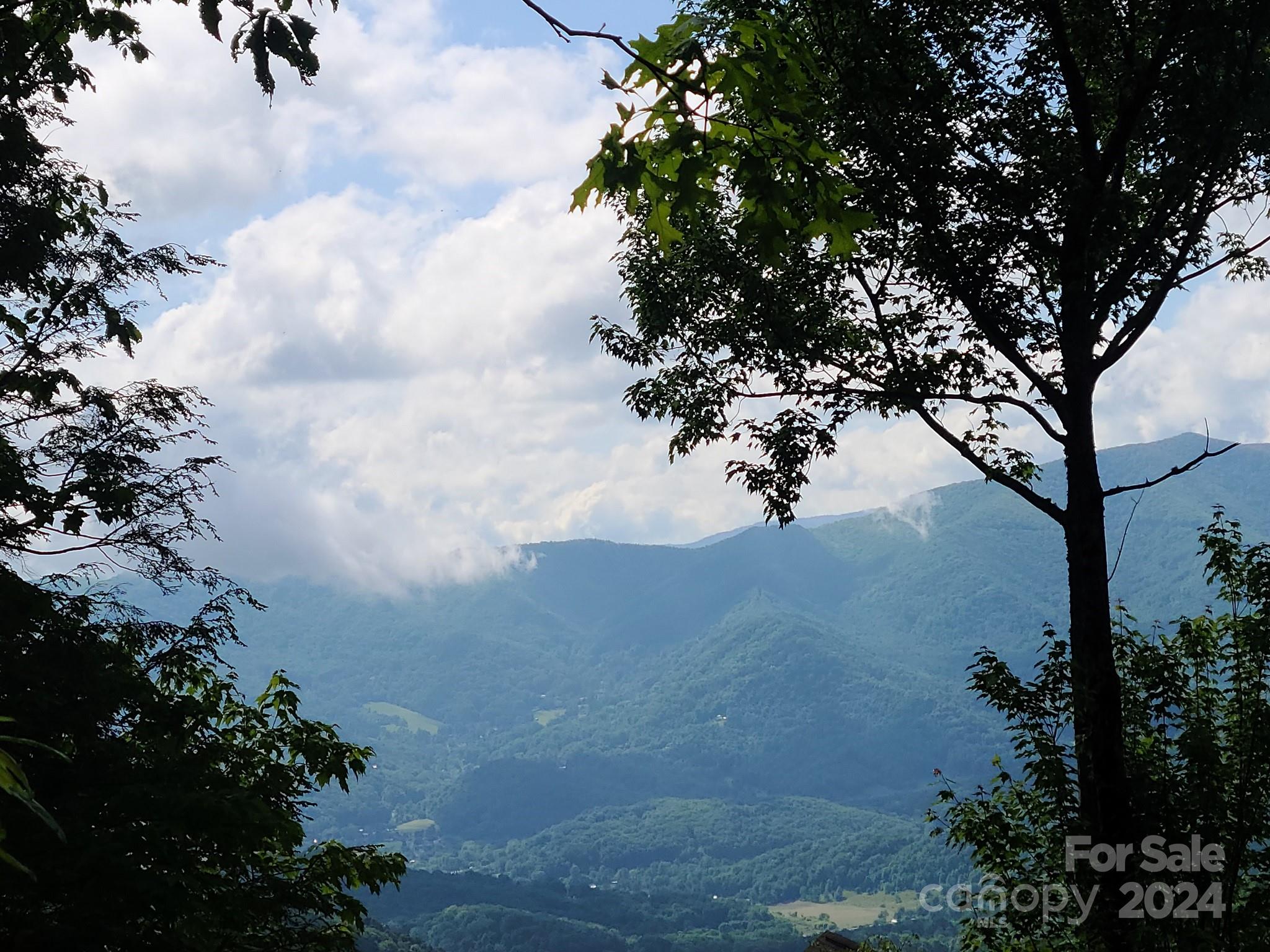 Villages of Plott Creek - Land