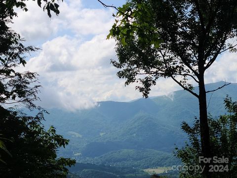 00 Rising Sun Lane 338 Waynesville NC 28786
