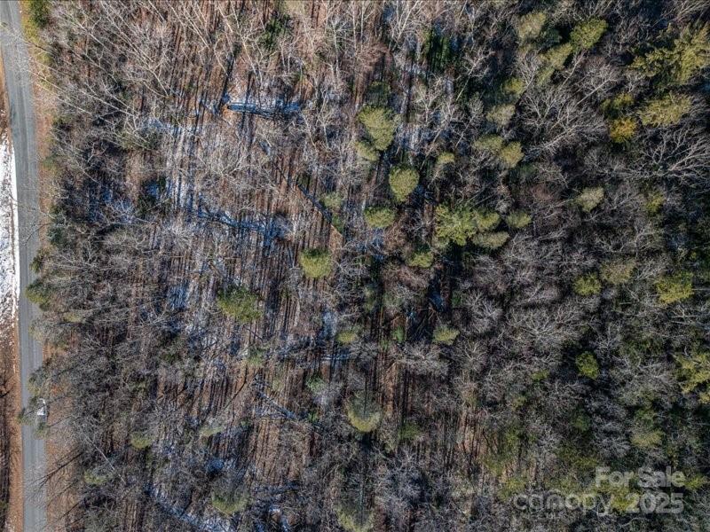 The Arbor at Lake James - Land