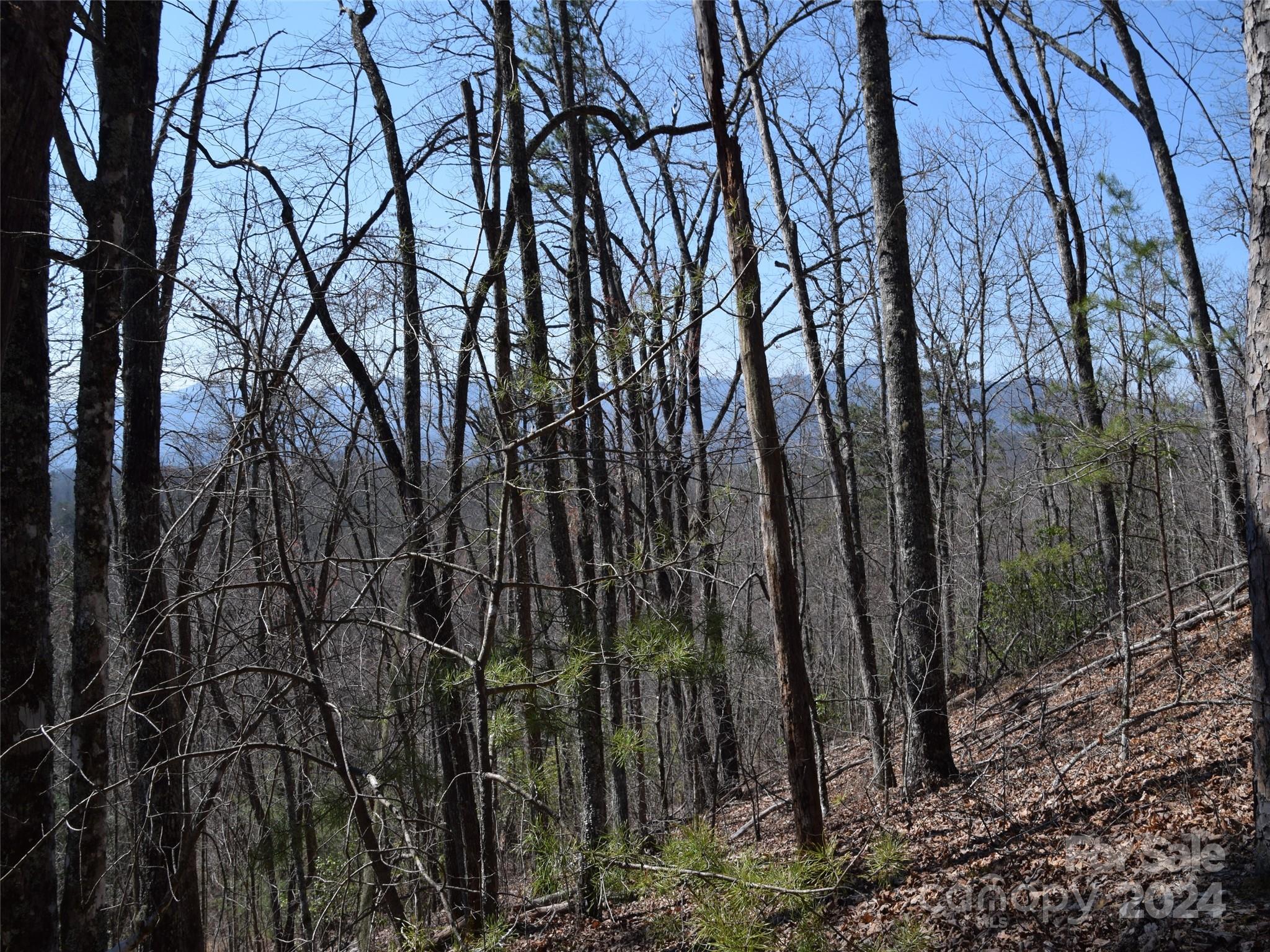 Lot 5 Horseshoe Bluff