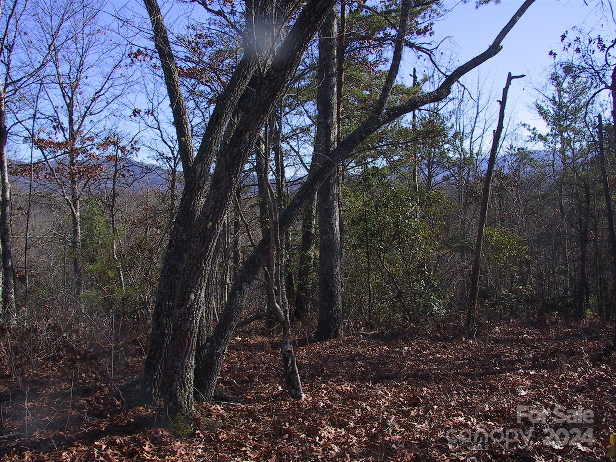 Lot 5 Horseshoe Bluff