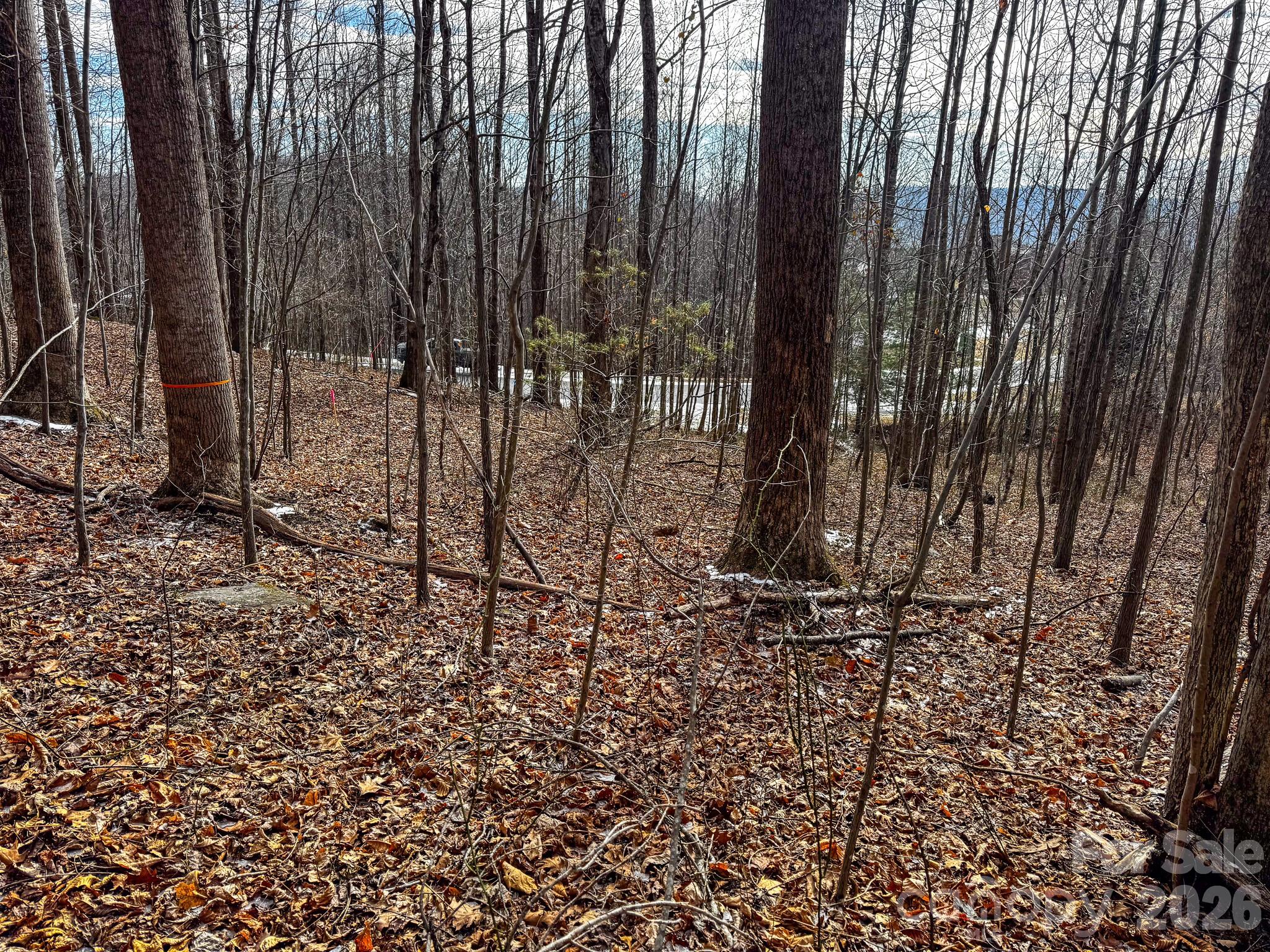 Somersby Park - Land