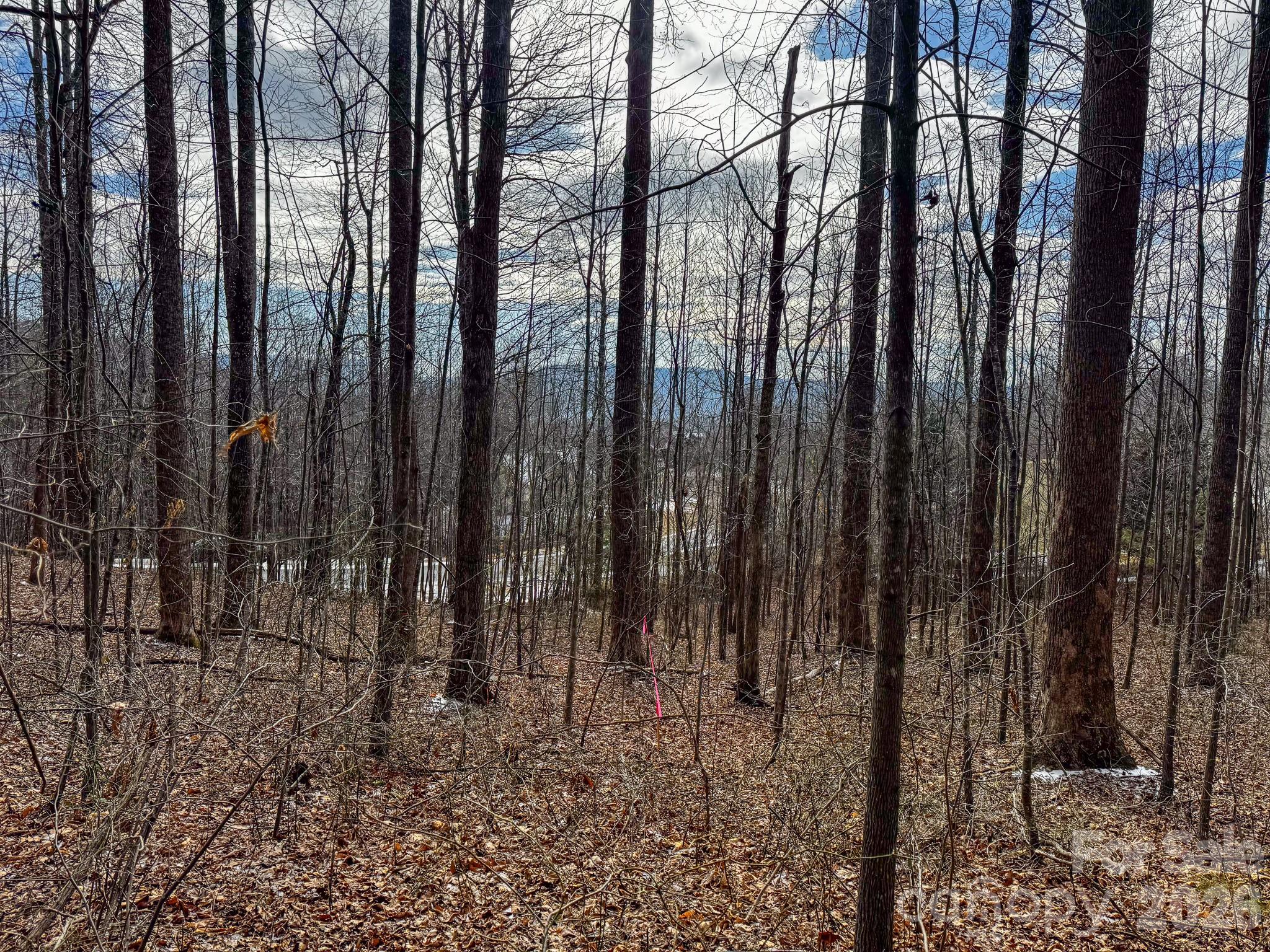 770 Somersby Parkway