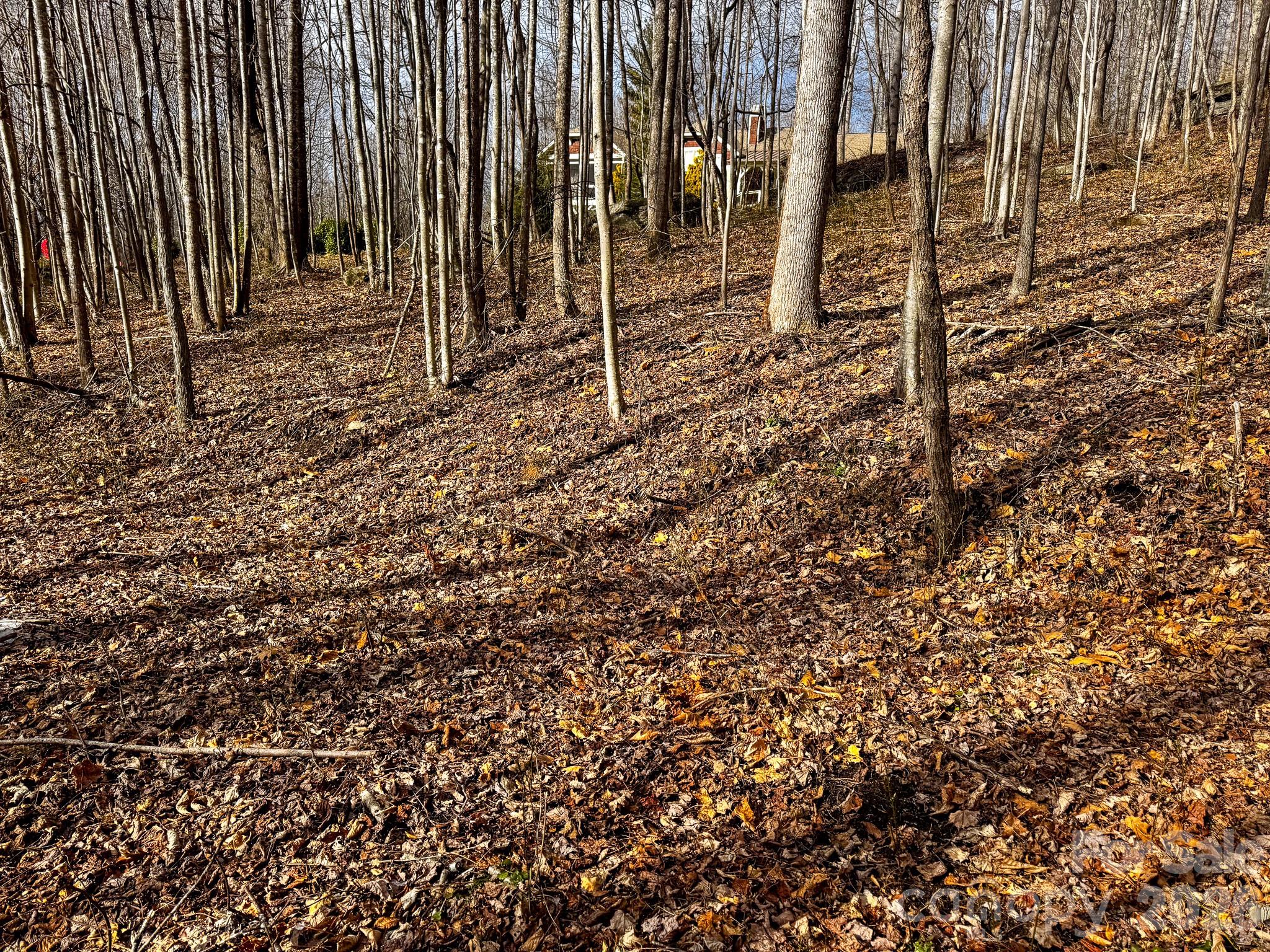 Somersby Park - Land